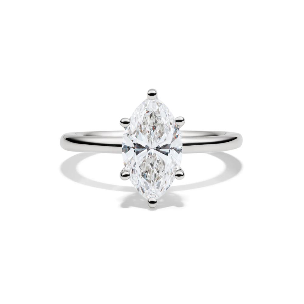 The marquise muse